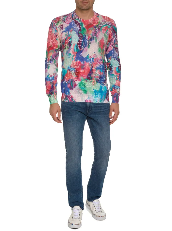 Robert Graham Sweaters Men NIGHT GALLERY SWEATER Multi
