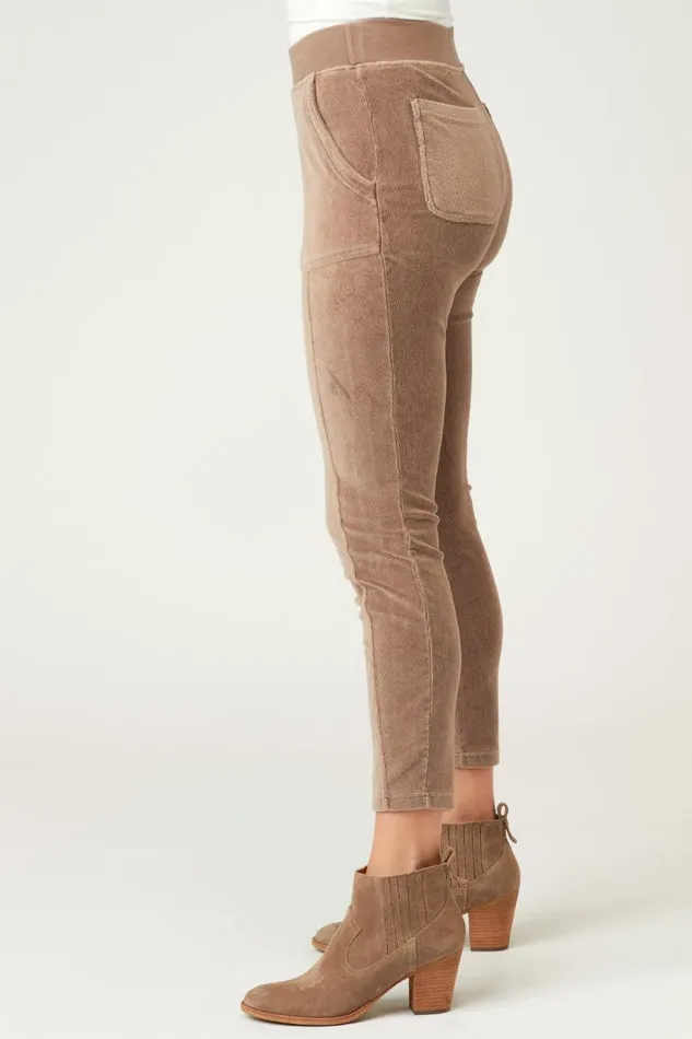 Abney Legging Cypress Bark Pigment Clothing XCVI Leggings
