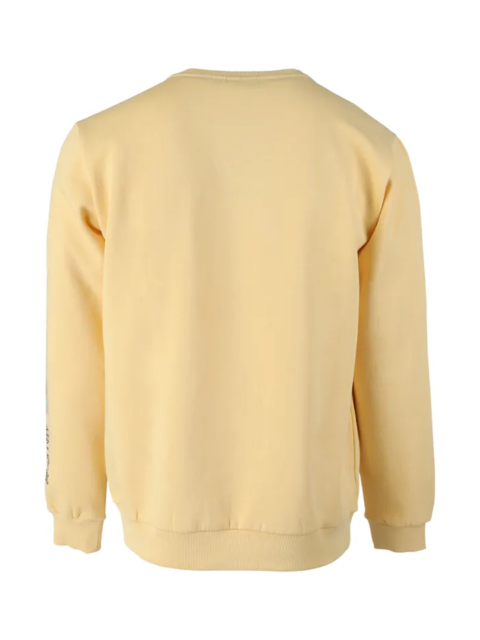 Brunotti Sweaters and Hoodies Men MurrayRSweater Yellow