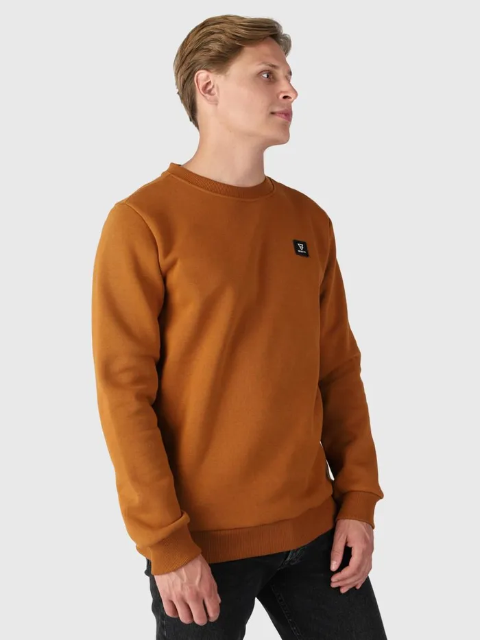 Brunotti Sweaters and Hoodies Men RitcherSweater Brown