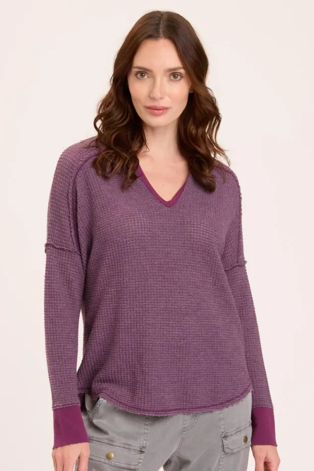 Bullock VNeck Pullover Mesmeric Clothing XCVI Sweatshirts