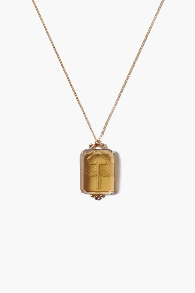 Chan Luu 14k Scorpio Zodiac Necklace Women 14k Fine