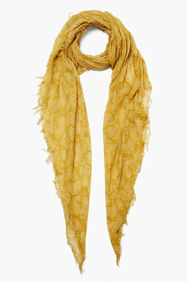 Chan Luu Cashmere And Silk Scarf Narcissus Dotted Paisley Women Scarves