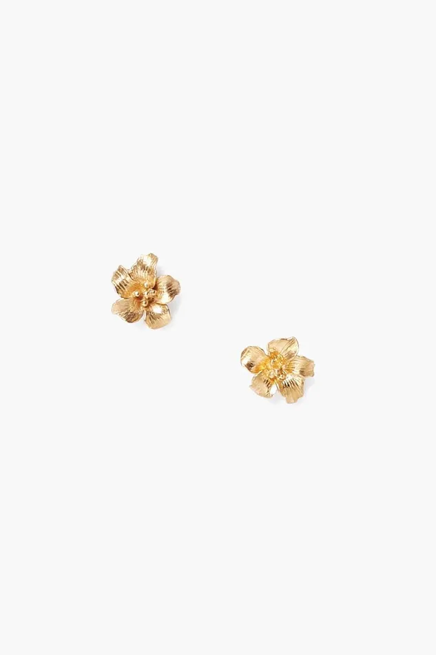 Chan Luu Gold Hibiscus Stud Earrings Women Earrings