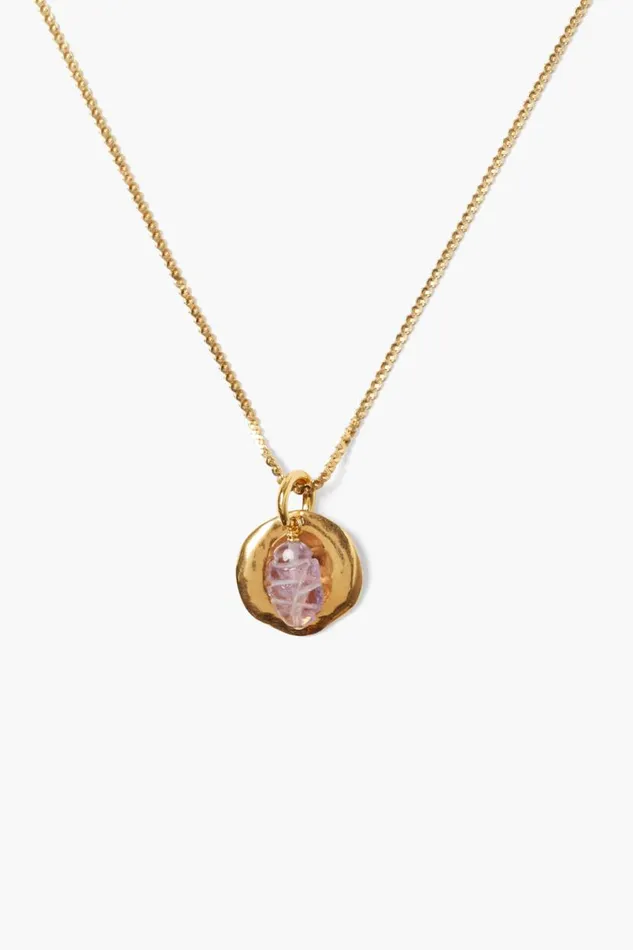 Chan Luu Paz Coin Necklace Amethyst Women Necklaces