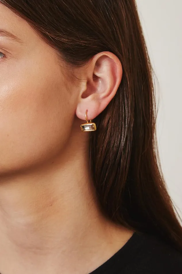Chan Luu Silver Shade Crystal Tab Earrings Women Earrings