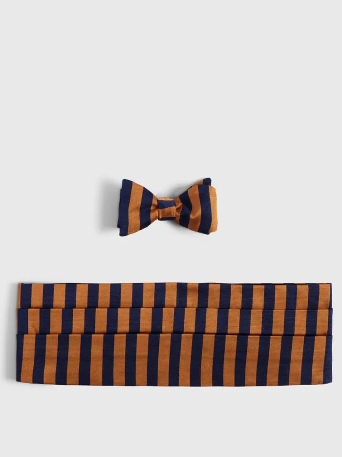 Formal Shop Mens Paul Stuart TwoTone Striped Bow Tie And Cummerbund Set Bluewhite