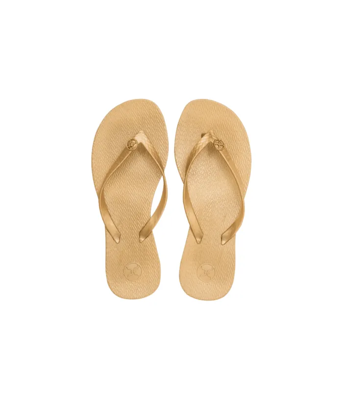 Sandals Women ViX Paula Hermanny Flip Flop 8211 Gold