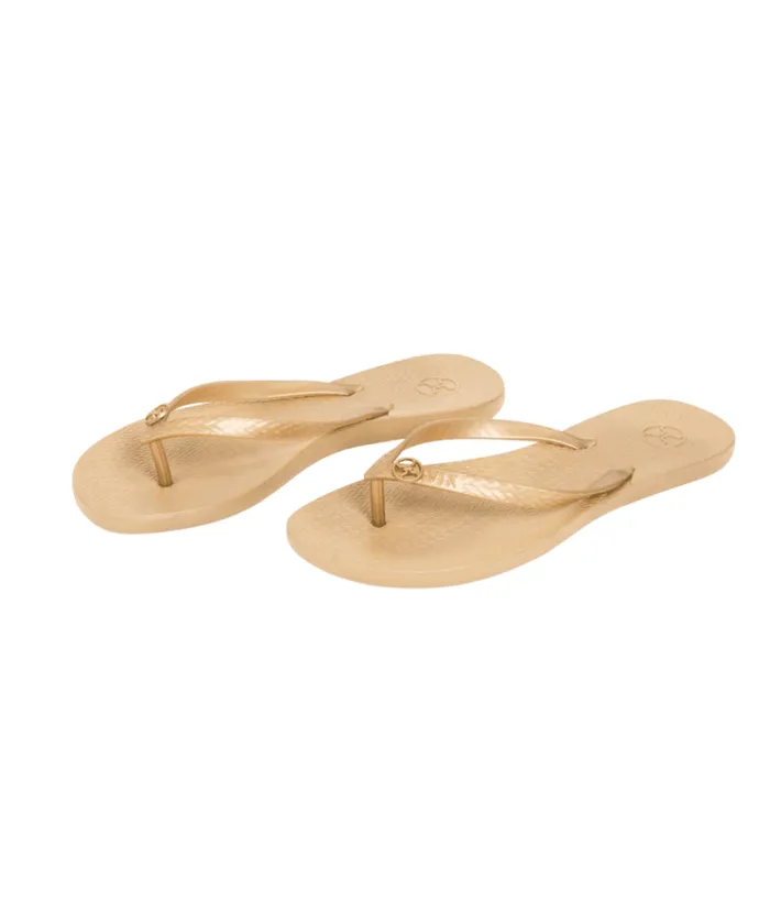 Sandals Women ViX Paula Hermanny Flip Flop 8211 Gold