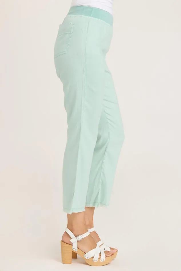 Sarla Ankle Pant Aquifer Pigment Clothing XCVI Crops