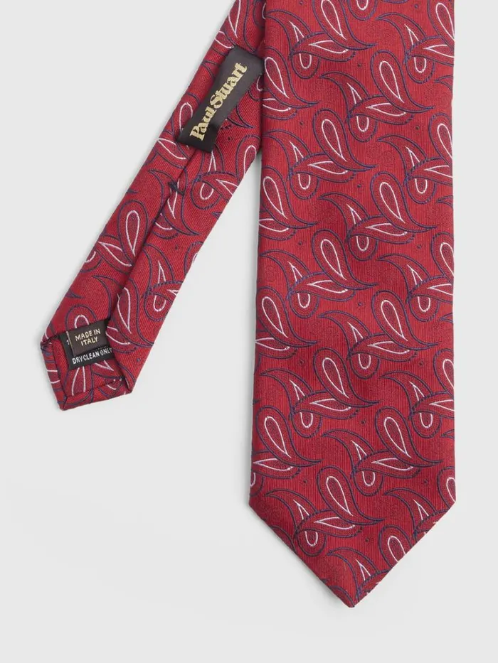 Ties Mens Paul Stuart Tossed Jacquard Paisley Tie Gold