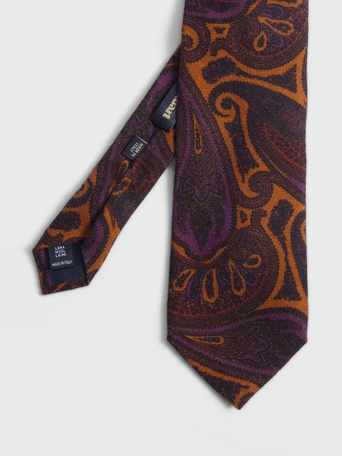 Ties Mens Paul Stuart Wool Paisley Tie Blue