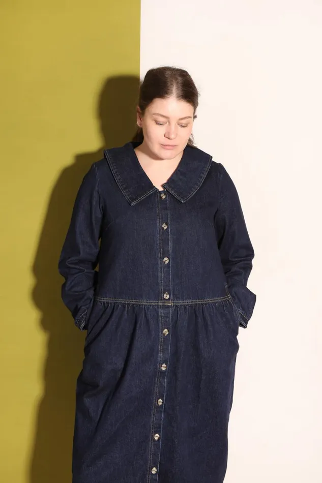 Women Albie Dress Indigo LF Markey Dresses