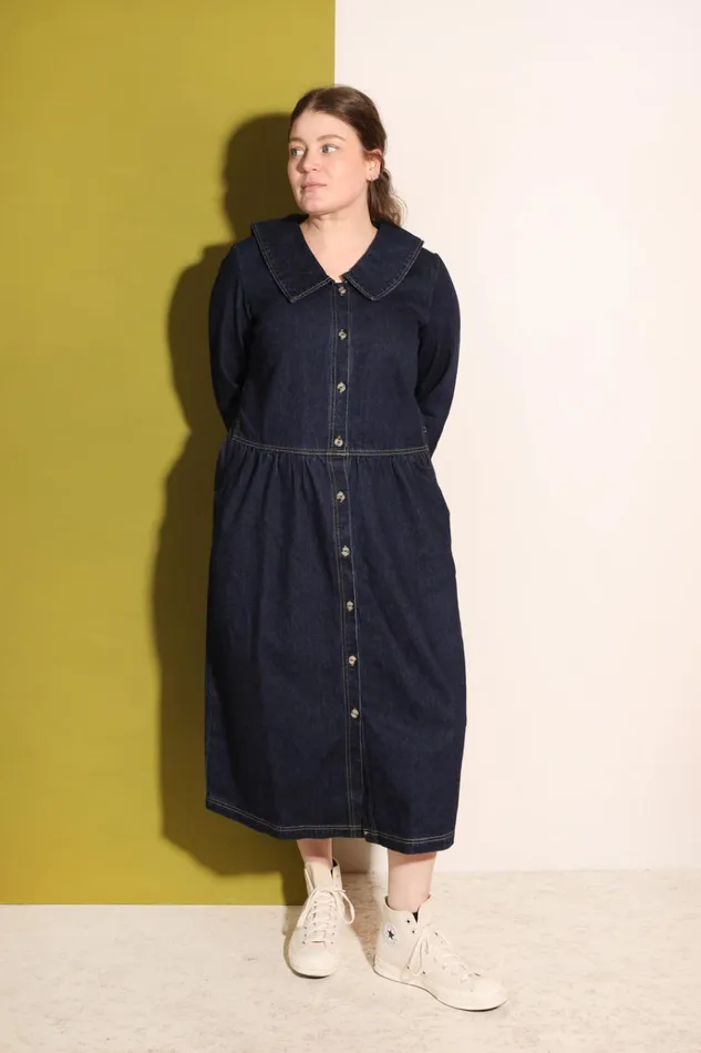 Women Albie Dress Indigo LF Markey Dresses